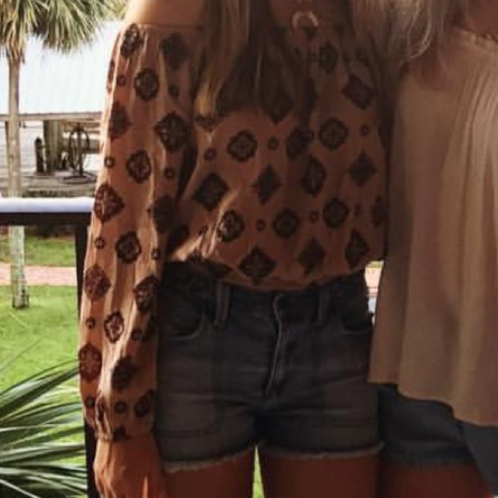 Amuse society off the shoulder top